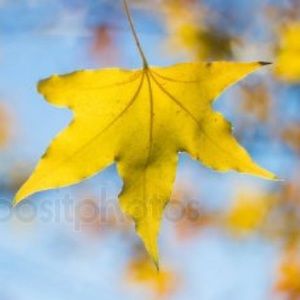 Meet your Posher, Mandy